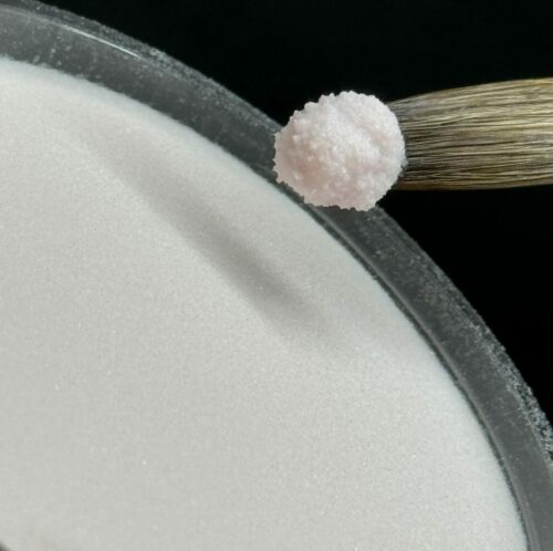 Poudre Acrylique Cover : "ROSY" 55g – Image 3