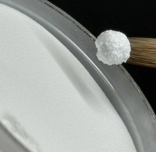 Poudre Acrylique Cover : "SNOW WITHE" 55g – Image 3